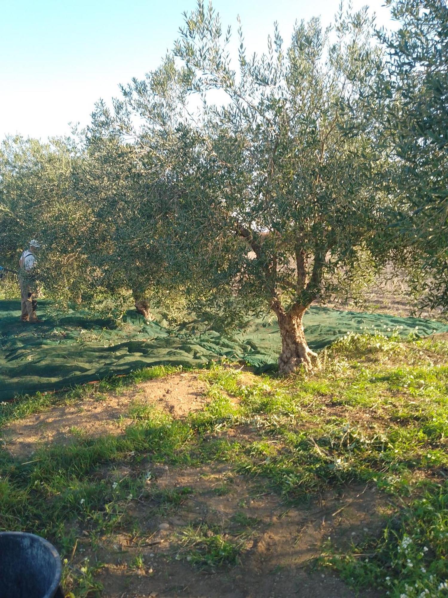 Casal Duca Bed & Breakfast Talsano Exterior photo