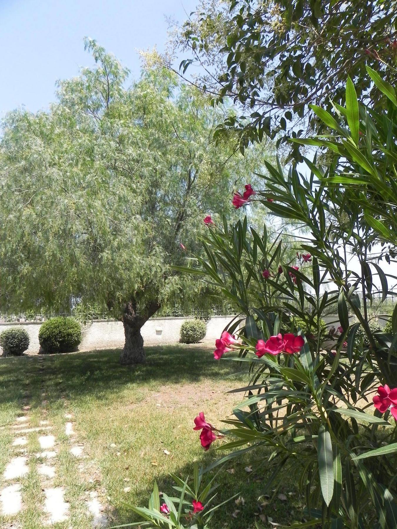 Casal Duca Bed & Breakfast Talsano Exterior photo